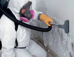 Biohazard Mold Removal in La Plata, MO